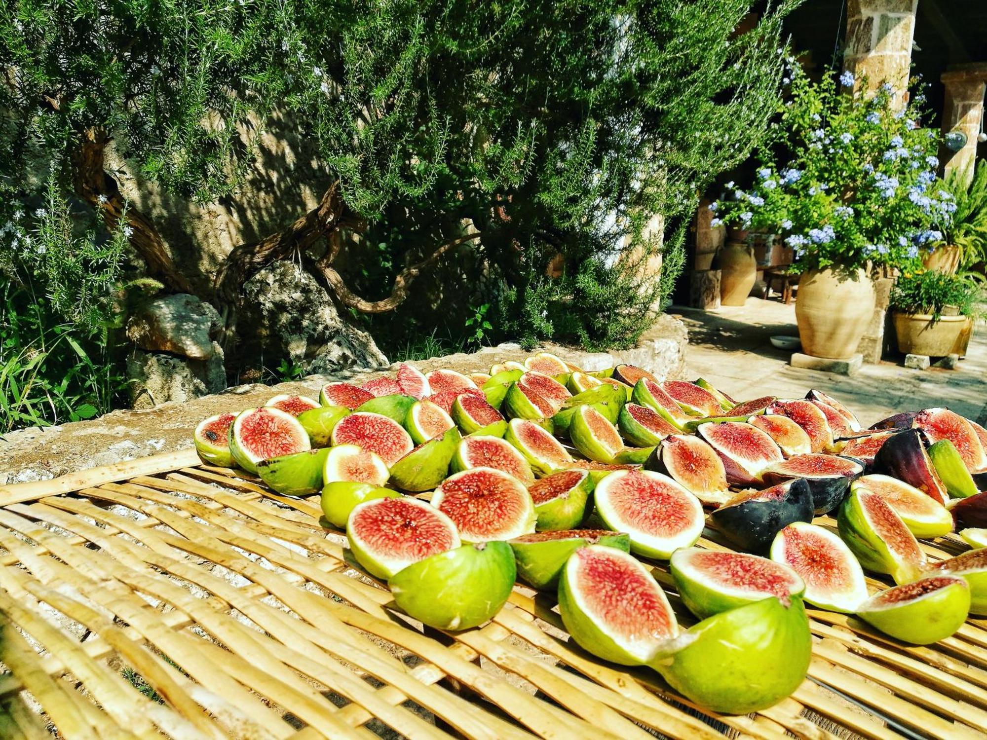 Masseria Borgo Del Gallo ทริกาเซ ภายนอก รูปภาพ