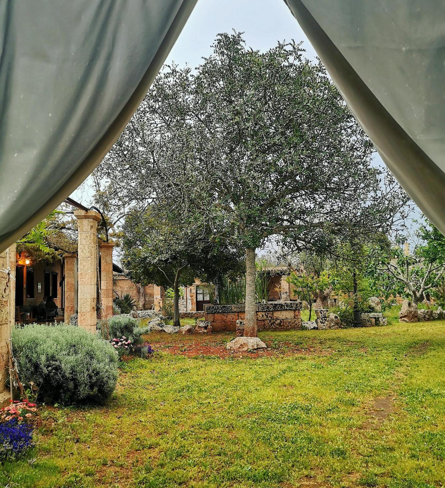 Masseria Borgo Del Gallo ทริกาเซ ภายนอก รูปภาพ