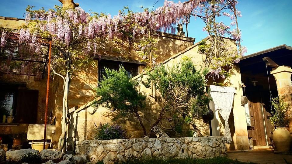 Masseria Borgo Del Gallo ทริกาเซ ภายนอก รูปภาพ