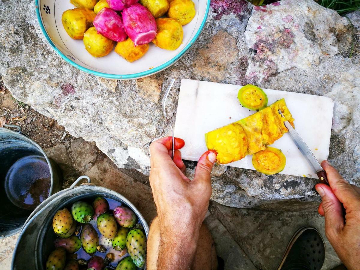 Masseria Borgo Del Gallo ทริกาเซ ภายนอก รูปภาพ